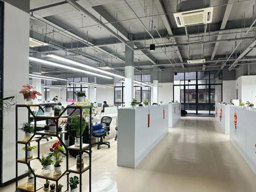 優(yōu)化營商環(huán)境丨人勤春來早,楊浦營商環(huán)境暖意融融